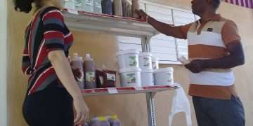 Minindustria-Yhanes-Portal-Ian