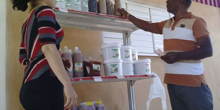 Minindustria-Yhanes-Portal-Ian