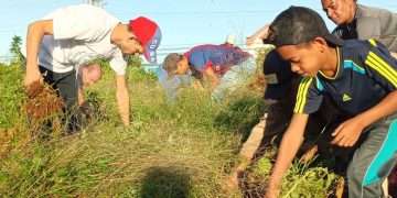 Los jóvenes se involucran por estos días en tareas de impacto