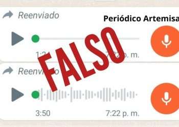 falso-viruela-simica