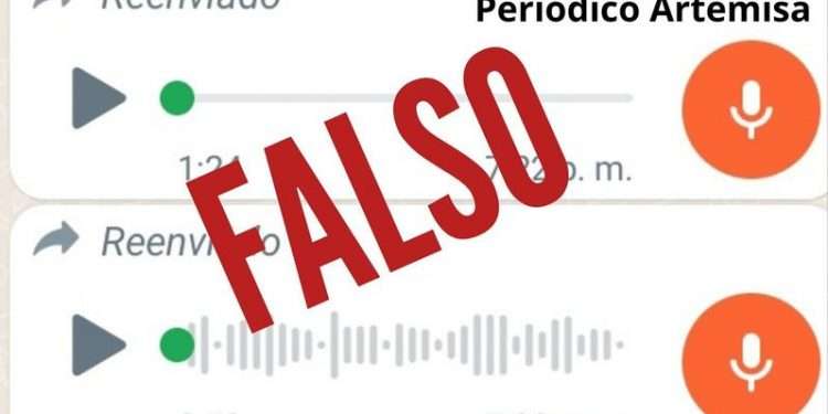 falso-viruela-simica