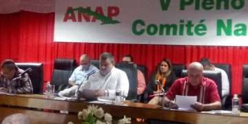 pleno-anap