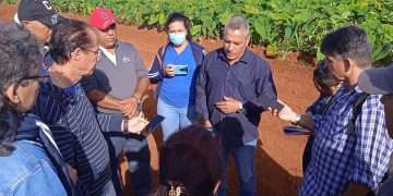 periodismo-agropecuario