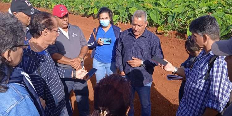 periodismo-agropecuario