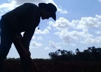 Colectivo-Laboral-Tomás-Alq