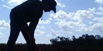 Colectivo-Laboral-Tomás-Alq