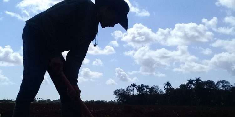 Colectivo-Laboral-Tomás-Alq