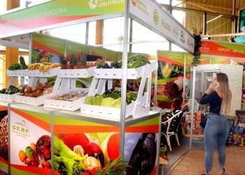 De Güira de Melena para el mundo