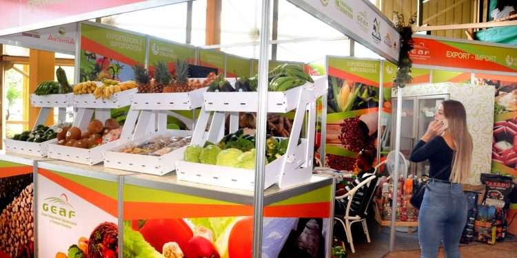 De Güira de Melena para el mundo