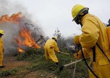 incendios-forestales