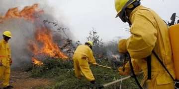 incendios-forestales