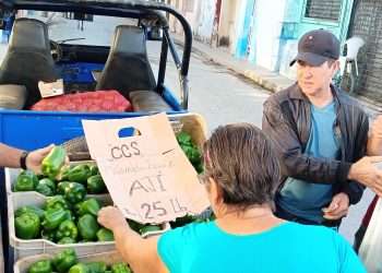 El ají se llegó a vender en San Antonio a 80 pesos la libra, ahora a 25, de primera calidad