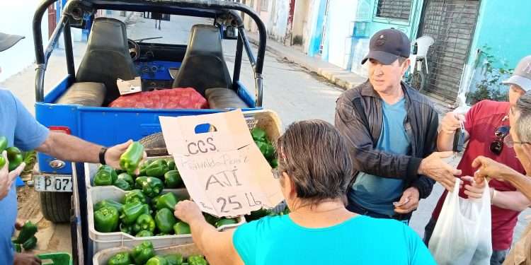 El ají se llegó a vender en San Antonio a 80 pesos la libra, ahora a 25, de primera calidad