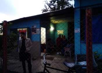 Caimito prueba dinamica 2