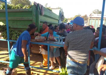 Este sábado, otra oportunidad en la Feria Provincial