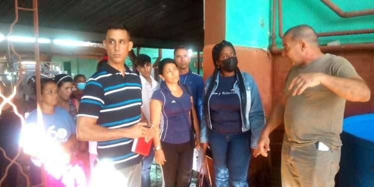 Mercedes Walquiria Williams Jímenez: disciplina y entrega