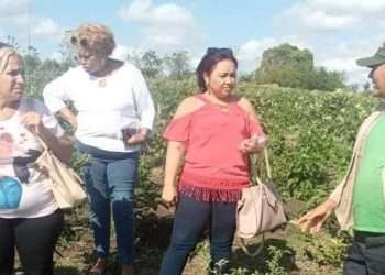 Yudelkis  La O Castellano con alma noble de pedagoga