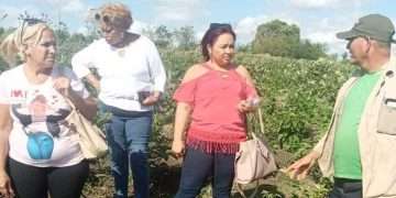 Yudelkis  La O Castellano con alma noble de pedagoga