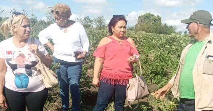 Yudelkis  La O Castellano con alma noble de pedagoga