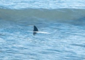 Tomada del sitio quora.com