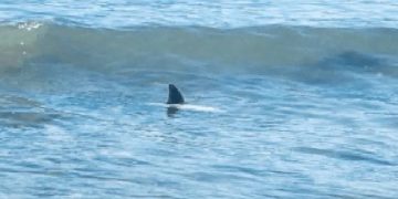 Tomada del sitio quora.com