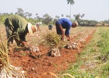 productores-agropecuarios