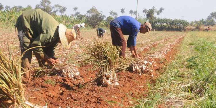 productores-agropecuarios