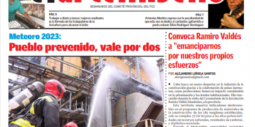 Edición 19 de el artemiseño