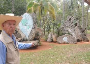 felo-bosque-martiano