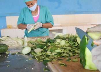 apocoop-centro-beneficio