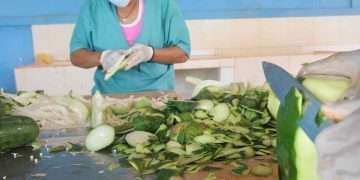 apocoop-centro-beneficio