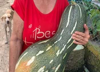 la-calabaza-migdalia