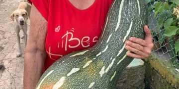 la-calabaza-migdalia