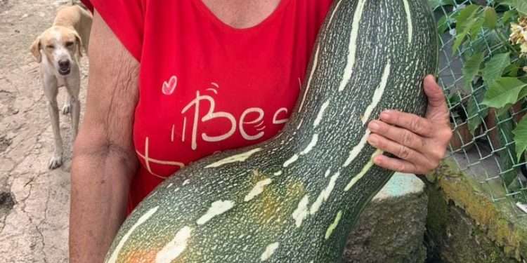 la-calabaza-migdalia