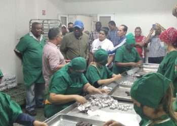 Valdés Mesa chequea producción de alimentos en  Artemisa
