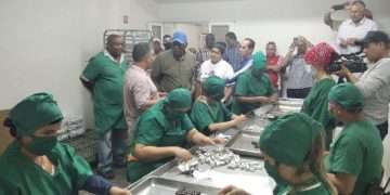 Valdés Mesa chequea producción de alimentos en  Artemisa