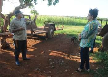 Eliminar intermediarios y bajar precios