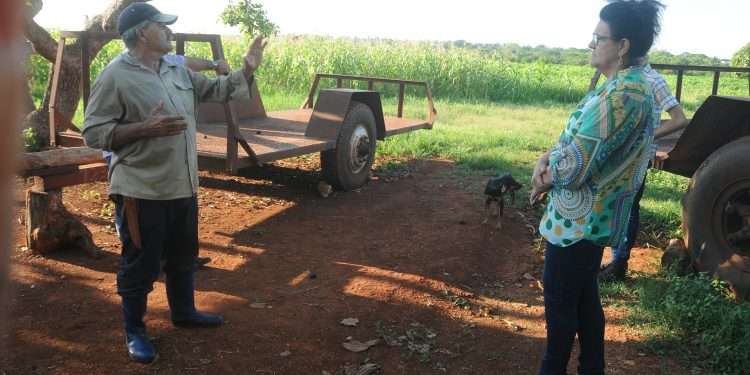 Eliminar intermediarios y bajar precios