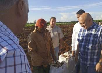 Más alimentos, la única salida