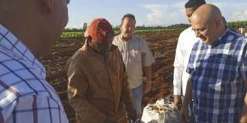 Más alimentos, la única salida