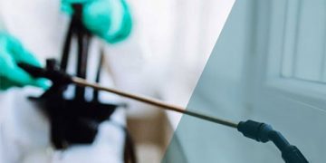 como-fumigar-chinches