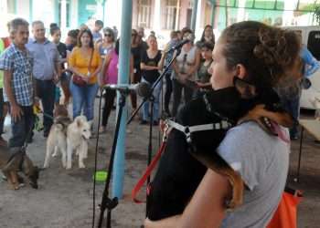 Bienestar animal: sanar hasta el alma