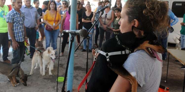 Bienestar animal: sanar hasta el alma