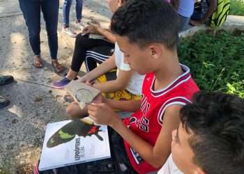 Escuela de verano por la salud del planeta