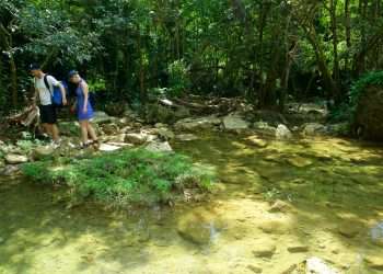baño-bosque-artemisa