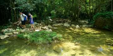 baño-bosque-artemisa