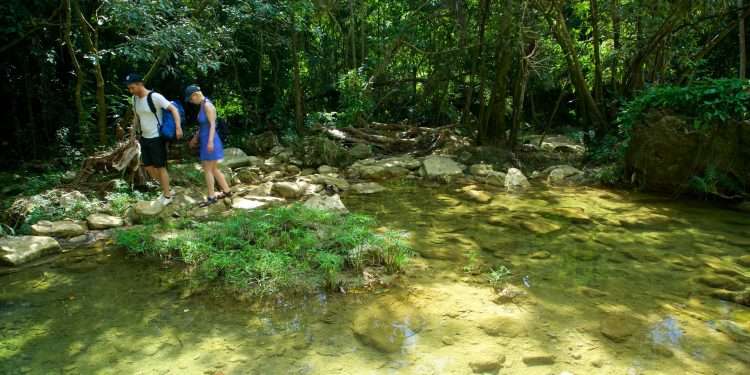 baño-bosque-artemisa