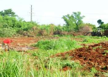 quisicuaba-san-antonio