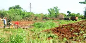 quisicuaba-san-antonio