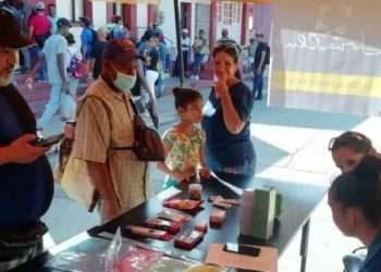 Artemisa Mestiza abraza la transformación digital